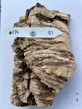Load image into Gallery viewer, Real Raw Cork No 174 - Orchid, Plant Mounts, Terrariums, Pets