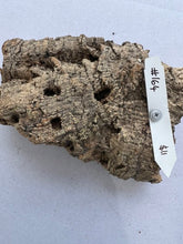 Load image into Gallery viewer, Real Raw Cork No 164 - Orchid, Plant Mounts, Terrariums, Pets