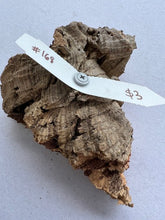 Load image into Gallery viewer, Real Raw Cork No 168 - Orchid, Plant Mounts, Terrariums, Pets