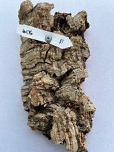 Load image into Gallery viewer, Real Raw Cork No 176 - Orchid, Plant Mounts, Terrariums, Pets