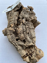 Load image into Gallery viewer, Real Raw Cork No 161 - Orchid, Plant Mounts, Terrariums, Pets
