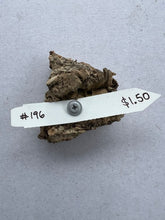 Load image into Gallery viewer, Real Raw Cork No 196 - Orchid, Plant Mounts, Terrariums, Pets