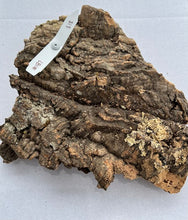 Load image into Gallery viewer, Real Raw Cork No 187 - Orchid, Plant Mounts, Terrariums, Pets