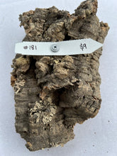 Load image into Gallery viewer, Real Raw Cork No 181 - Orchid, Plant Mounts, Terrariums, Pets