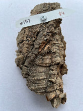 Load image into Gallery viewer, Real Raw Cork No 157 - Orchid, Plant Mounts, Terrariums, Pets
