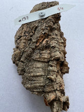 Load image into Gallery viewer, Real Raw Cork No 157 - Orchid, Plant Mounts, Terrariums, Pets