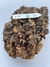 Load image into Gallery viewer, Real Raw Cork No 134 - Orchid, Plant Mounts, Terrariums, Pets