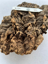Load image into Gallery viewer, Real Raw Cork No 134 - Orchid, Plant Mounts, Terrariums, Pets