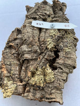 Load image into Gallery viewer, Real Raw Cork No 169 - Orchid, Plant Mounts, Terrariums, Pets
