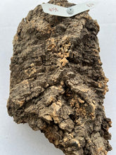 Load image into Gallery viewer, Real Raw Cork No 158 - Orchid, Plant Mounts, Terrariums, Pets