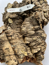 Load image into Gallery viewer, Real Raw Cork No 147 - Orchid, Plant Mounts, Terrariums, Pets
