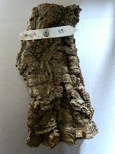 Load image into Gallery viewer, Real Raw Cork No 109 - Orchid, Plant Mounts, Terrariums, Pets