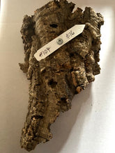 Load image into Gallery viewer, Real Raw Cork No 104 - Orchid, Plant Mounts, Terrariums, Pets