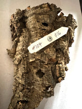 Load image into Gallery viewer, Real Raw Cork No 104 - Orchid, Plant Mounts, Terrariums, Pets