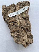 Load image into Gallery viewer, Real Raw Cork No 143 - Orchid, Plant Mounts, Terrariums, Pets