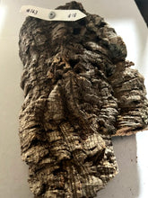 Load image into Gallery viewer, Real Raw Cork No 163 - Orchid, Plant Mounts, Terrariums, Pets