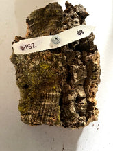 Load image into Gallery viewer, Real Raw Cork No 152 - Orchid, Plant Mounts, Terrariums, Pets