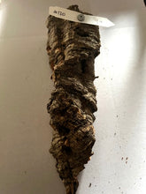 Load image into Gallery viewer, Real Raw Cork No 120 - Orchid, Plant Mounts, Terrariums, Pets