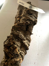 Load image into Gallery viewer, Real Raw Cork No 120 - Orchid, Plant Mounts, Terrariums, Pets