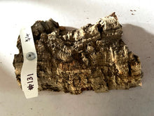 Load image into Gallery viewer, Real Raw Cork No 131 - Orchid, Plant Mounts, Terrariums, Pets
