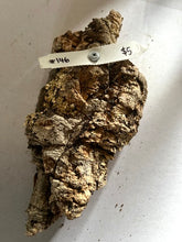 Load image into Gallery viewer, Real Raw Cork No 146 - Orchid, Plant Mounts, Terrariums, Pets