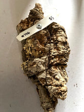 Load image into Gallery viewer, Real Raw Cork No 146 - Orchid, Plant Mounts, Terrariums, Pets