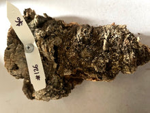 Load image into Gallery viewer, Real Raw Cork No 126 - Orchid, Plant Mounts, Terrariums, Pets