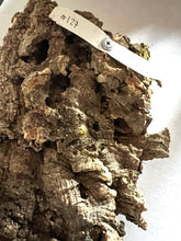 Load image into Gallery viewer, Real Raw Cork No 127 - Orchid, Plant Mounts, Terrariums, Pets