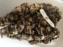 Load image into Gallery viewer, Real Raw Cork No 118 - Orchid, Plant Mounts, Terrariums, Pets