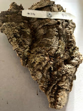 Load image into Gallery viewer, Real Raw Cork No 114 - Orchid, Plant Mounts, Terrariums, Pets