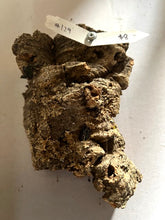 Load image into Gallery viewer, Real Raw Cork No 129 - Orchid, Plant Mounts, Terrariums, Pets