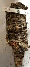 Load image into Gallery viewer, Real Raw Cork No 128 - Orchid, Plant Mounts, Terrariums, Pets