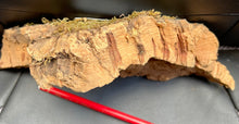 Load image into Gallery viewer, Real Raw Cork No 301 - Orchid, Plant Mounts, Terrariums, Pets