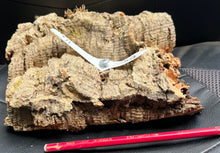 Load image into Gallery viewer, Real Raw Cork No 302 - Orchid, Plant Mounts, Terrariums, Pets