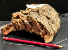 Load image into Gallery viewer, Real Raw Cork No 304 - Orchid, Plant Mounts, Terrariums, Pets