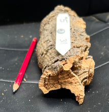 Load image into Gallery viewer, Real Raw Cork No 311 - Orchid, Plant Mounts, Terrariums, Pets