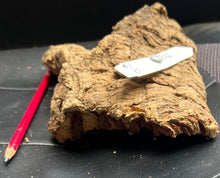 Load image into Gallery viewer, Real Raw Cork No 312 - Orchid, Plant Mounts, Terrariums, Pets