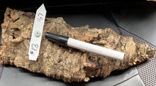 Load image into Gallery viewer, Real Raw Cork No 147 - Orchid, Plant Mounts, Terrariums, Pets
