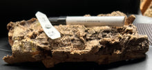 Load image into Gallery viewer, Real Raw Cork No 146 - Orchid, Plant Mounts, Terrariums, Pets