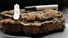 Load image into Gallery viewer, Real Raw Cork No 145 - Orchid, Plant Mounts, Terrariums, Pets