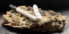 Load image into Gallery viewer, Real Raw Cork No 141 - Orchid, Plant Mounts, Terrariums, Pets
