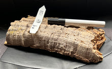 Load image into Gallery viewer, Real Raw Cork No 138 - Orchid, Plant Mounts, Terrariums, Pets