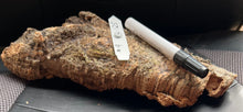 Load image into Gallery viewer, Real Raw Cork No 125 - Orchid, Plant Mounts, Terrariums, Pets