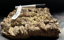 Load image into Gallery viewer, Real Raw Cork No 122 - Orchid, Plant Mounts, Terrariums, Pets