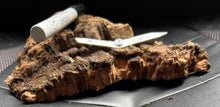 Load image into Gallery viewer, Real Raw Cork No 120 - Orchid, Plant Mounts, Terrariums, Pets