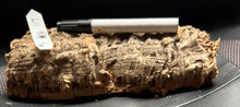 Load image into Gallery viewer, Real Raw Cork No 117 - Orchid, Plant Mounts, Terrariums, Pets
