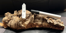 Load image into Gallery viewer, Real Raw Cork No 116 - Orchid, Plant Mounts, Terrariums, Pets