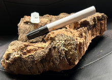 Load image into Gallery viewer, Real Raw Cork No 115 - Orchid, Plant Mounts, Terrariums, Pets