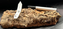 Load image into Gallery viewer, Real Raw Cork No 111 - Orchid, Plant Mounts, Terrariums, Pets