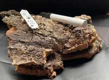 Load image into Gallery viewer, Real Raw Cork No 108 - Orchid, Plant Mounts, Terrariums, Pets
